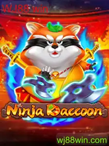 NinjaRaccoon